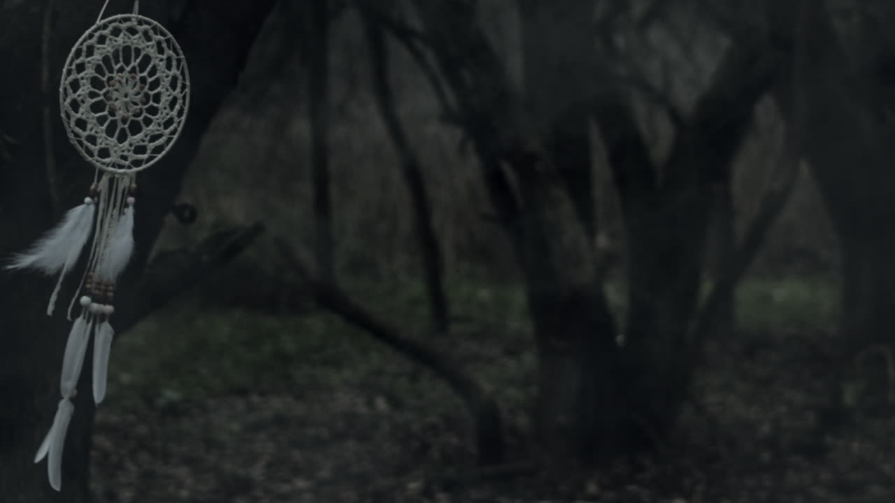 Dreamcatcher hauntingly swings from branch in scary dark forest, slow-mo