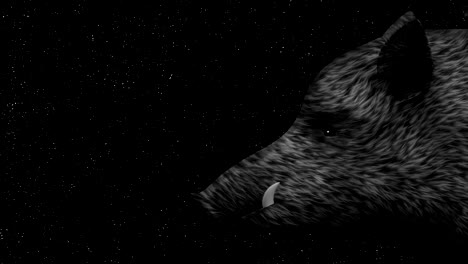 wild boar on a starry sky background animation