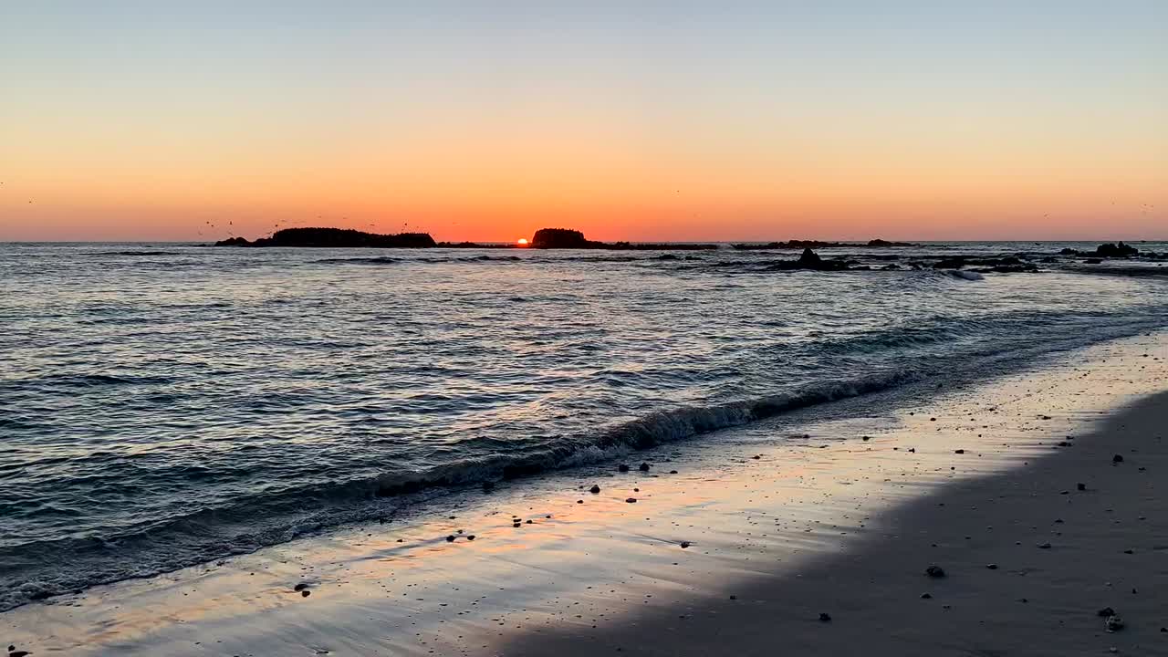 video de la naturaleza de lapso de tiempo de pájaros volando el cielo crepuscular en la playa
