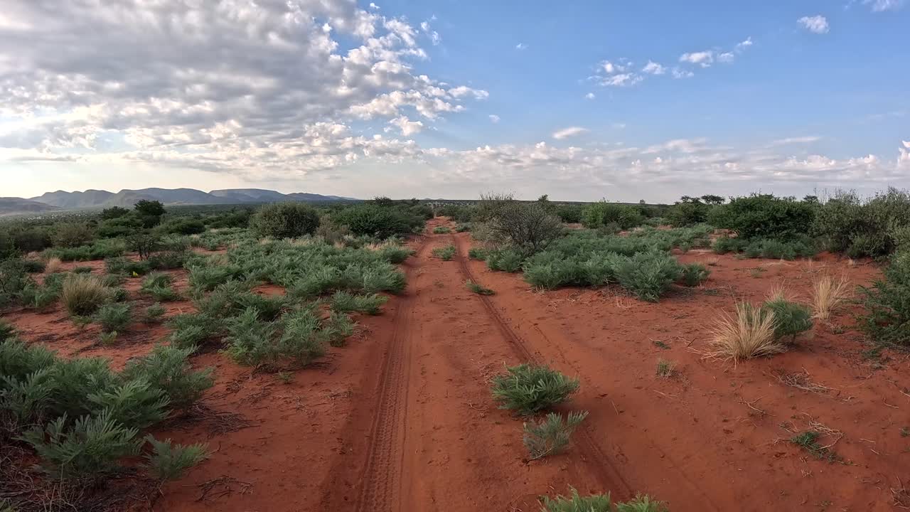 una curva del tiempo de un vehículo de safari conduciendo a través de la hermosa selva del sur de kalahari, un exuberante paisaje de sabana pasa a medida que avanzamos