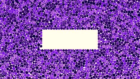 esferas coloridas, muchas partículas redondas que se reúnen en forma de rectángulo sobre un fondo blanco. animación. círculos púrpuras cayendo con el espacio vacío en el medio