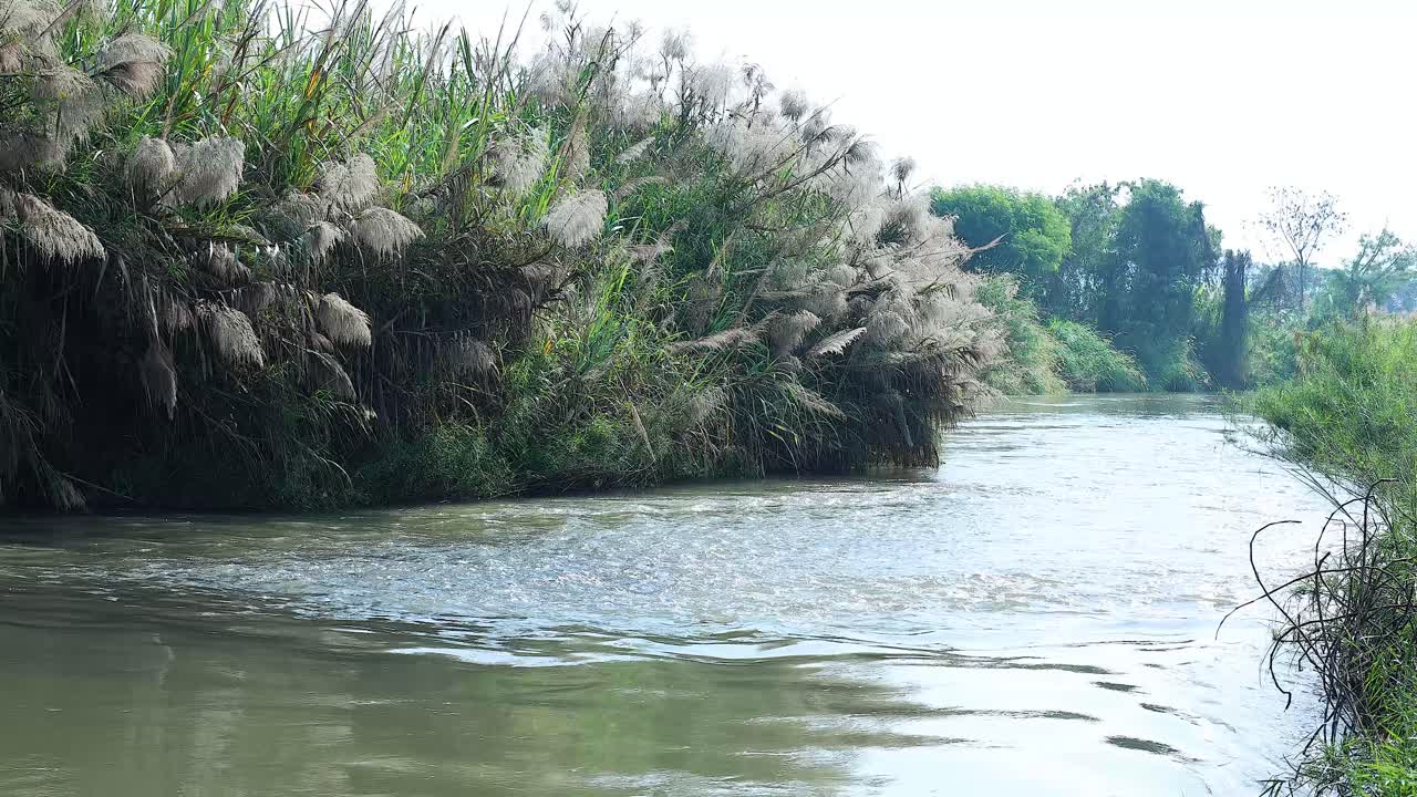 paseo en barco a lo largo de un canal de río tranquilo y estrecho