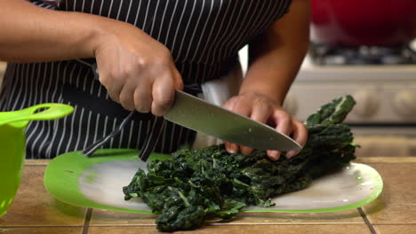 African-American-chef-chops-kale-for-a-healthy-homemade-recipe---isolated