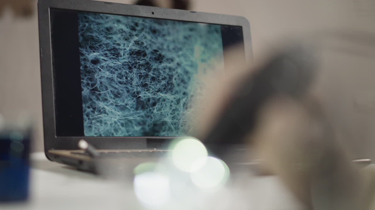 estructura de aprendizaje del biomaterial de ensayo investigado en el laboratorio