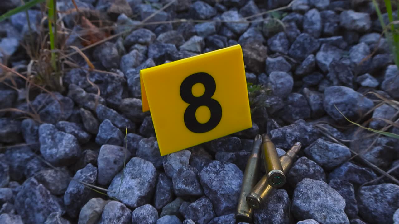 Close up top down view of yellow colored and numbered police crime scene marker next to high caliber ammunition bullets or ammo on a gravel ground with some grass growing through. Day light