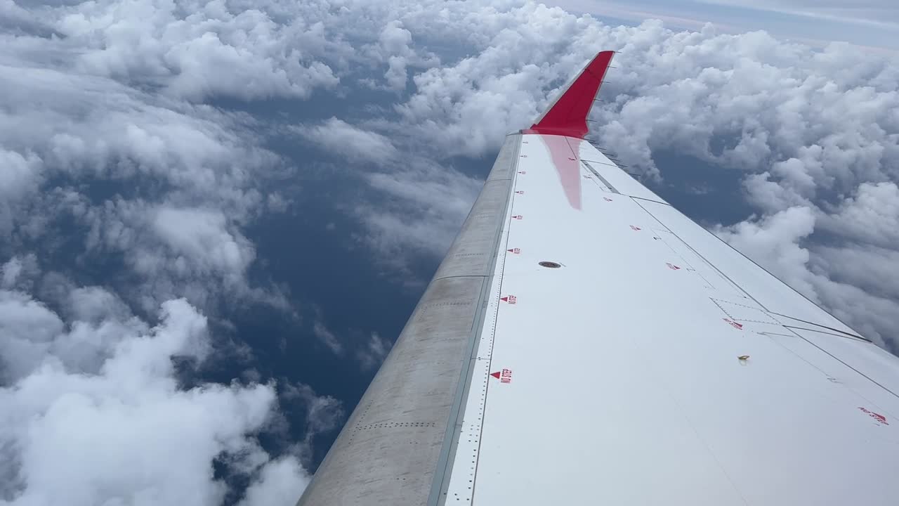 ala de chorro derecha blanca con vista de aleta roja sobrevolando el mar en un giro a la derecha