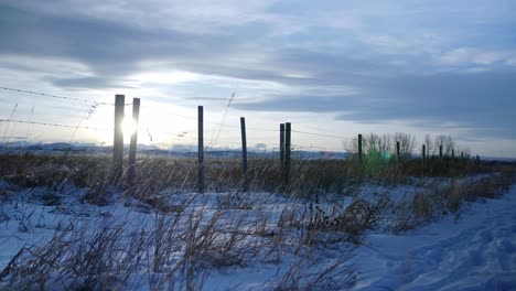 Dolly Right Shot Grass Move With the Wind on Snow Ground Close to Field Fence Sunbeam Between the Posts