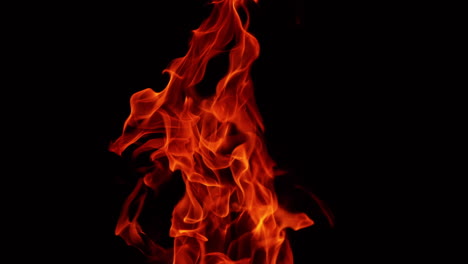 red fire flame stretching high into the darkness. blaze isolated at black backdrop.