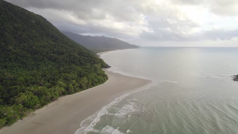 paradise tropical beach meets daintree rainforest in north queensland, australia