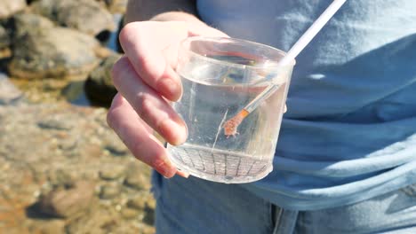 un científico ciudadano que realiza una investigación de campo observa animales marinos en un frasco de muestras