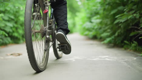 back view of young boy riding his bike along a scenic paved path with white markings, the path is surrounded by lush greenery, giving a tranquil feeling of nature