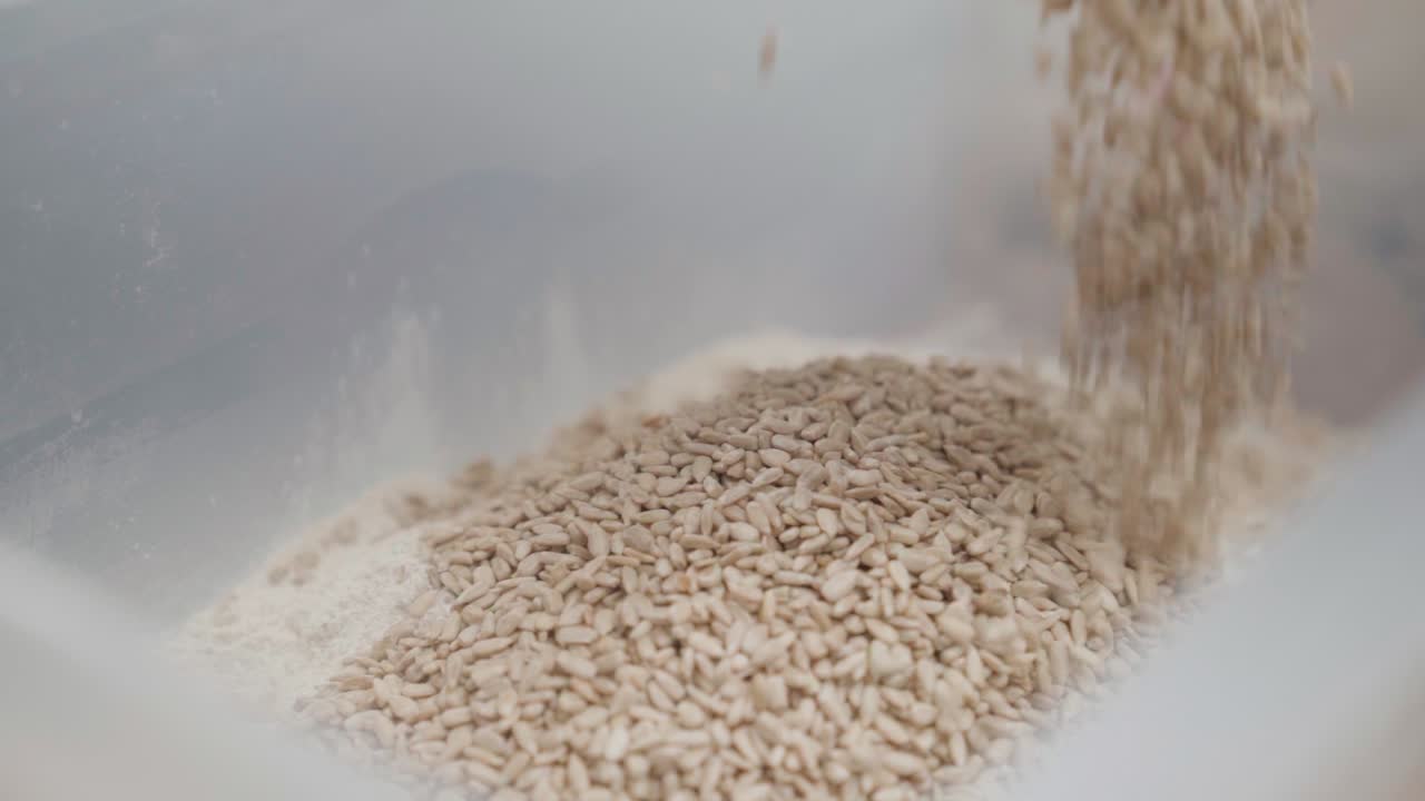 질이 벗겨진 자루 씨을 천천히 그에 부어 넣는 것