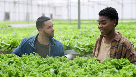 homme, femme et haut cinq pour le succès