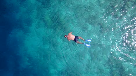 man snorkel on clear crystal water of blue turquoise sea, watching groups of tropical fish living through stones and corals on sea bottom