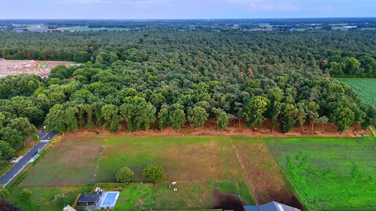 Green fields and trees extend far. Aerial view of a lush green area featuring trees, fields, and calm surroundings in the late afternoon light