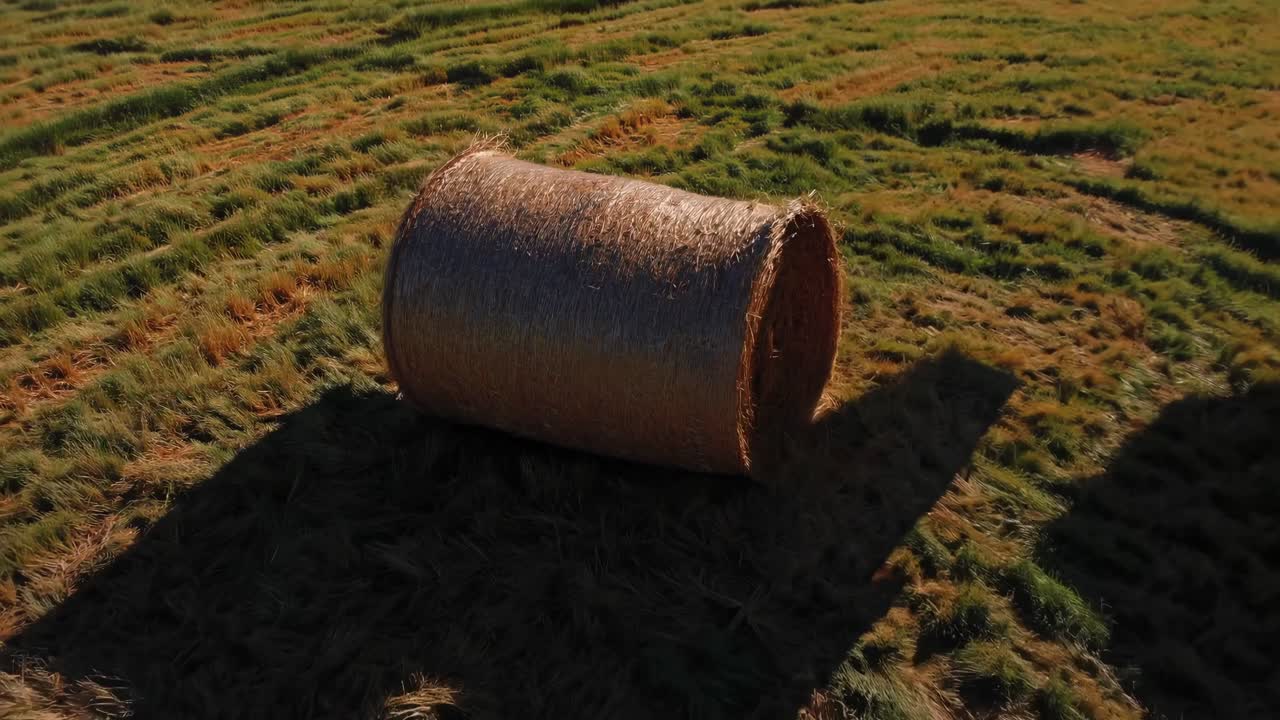 Aerial view of a vast green field with hay bales scattered under a clear blue sky