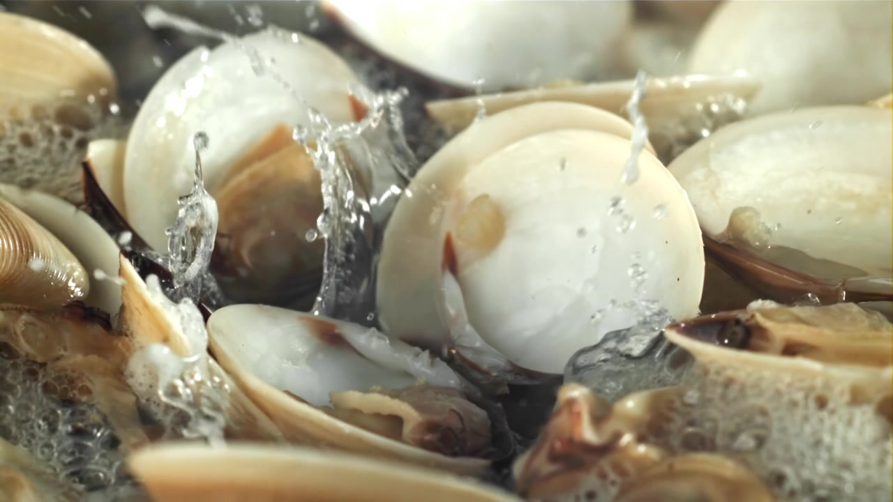 Fresh Clams Cooking and Opening in Boiling Water with Splashes