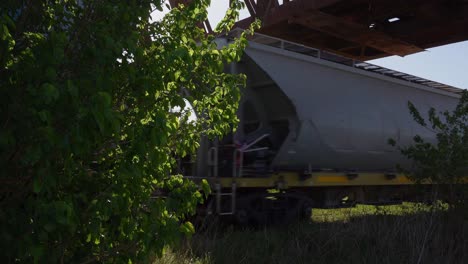 a freight train runs below a railway bridge in a rural environment.