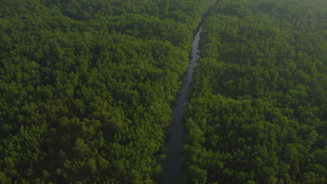 Vista-Del-Río-Bagan-Lalang-Y-árboles-Densos,-Selangor,-Malasia