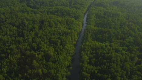 vista del río bagan lalang y árboles densos, selangor, malasia