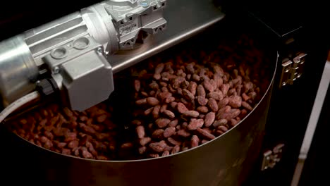 cocoa bean processing machine