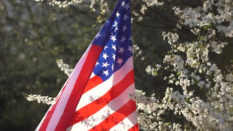 american flags in flowers on the fourth of july