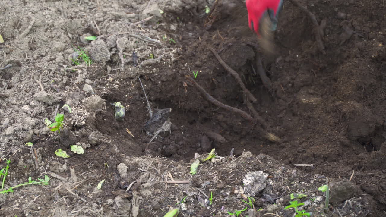 Inquadratura ravvicinata media in movimento di un agricoltore che lavora nel campo.