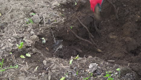 medium close-up tracking shot of a farmer working in the field.