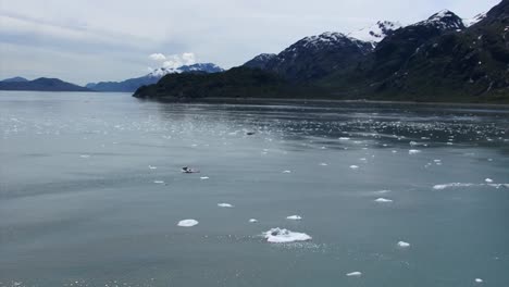 beautiful landscape in glacier bay national park, alaska
