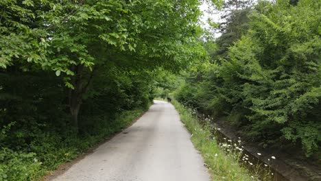 aerial view of asphalt road 5