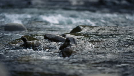 Beautiful-water-surface-in-slow-motion.-Close-up-of-flowing-river-water