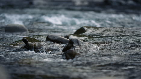 hermosa superficie de agua en cámara lenta. primer plano del agua del río que fluye