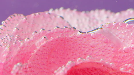 pink rose petals with bubbles