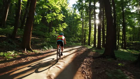 mountain biking through a sunlit forest trail