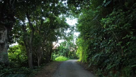 carretera rural sombreada. vista a pie en primera persona
