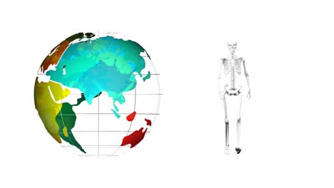 digital animation of globe icon spinning and human skeleton walking against white background