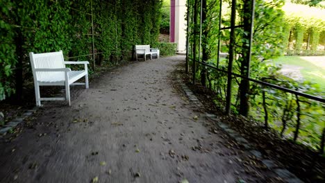 green pathway of nature park in kleve germany, aerial footage covering the gallery of green plants and stalks, which is beautiful and touristy