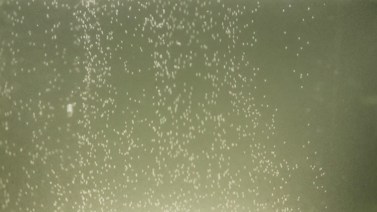 Rising bubbles in a glass of sparkling drink