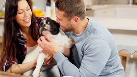 Happy-couple-playing-with-pug-dog-4k