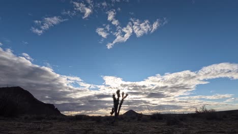 un paisaje de nubes al amanecer cruza el terreno accidentado del desierto de mojave con un árbol de joshua en primer plano - lapso de tiempo de gran angular