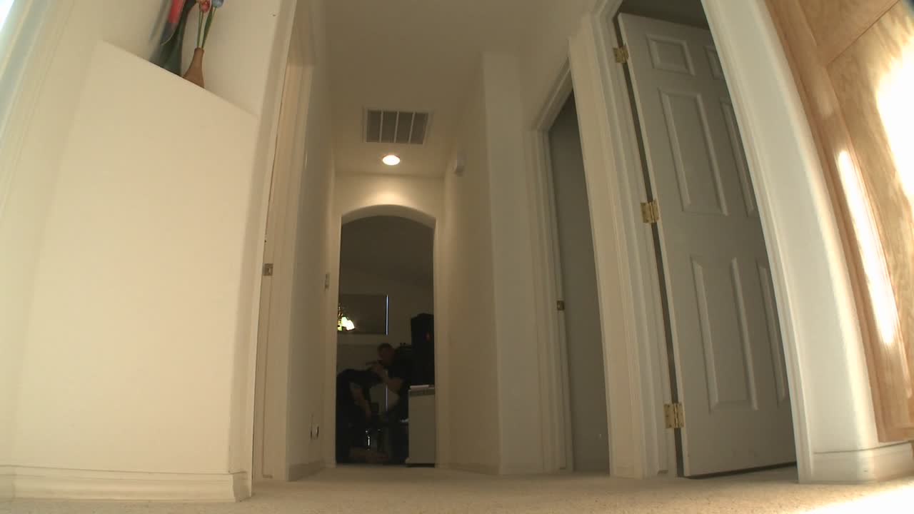 경찰과 함께 경찰이 마약을 급습하는 동안 집을 청소합니다 1