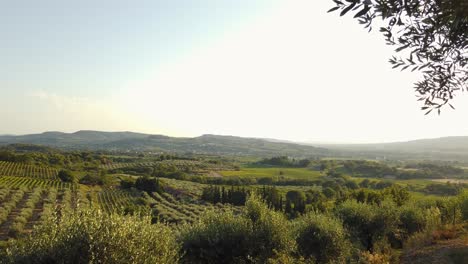 Romantische-Landschaft-Der-Wunderschönen-Landschaft-Der-Provence-In-Frankreich