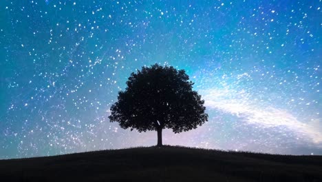 a tree is silhouetted against a dark sky with many stars. concept of solitude and peacefulness, as the tree stands alone in the vastness of the night sky. the stars twinkle above