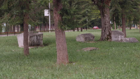 A-peaceful-silent-view-of-an-ancient-graveyard-covered-with-trees-and-grass-and-the-main-road-that-follows-its-course