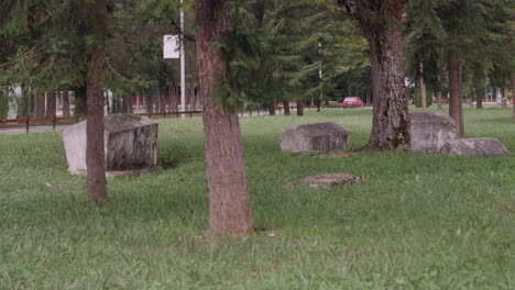 a peaceful silent view of an ancient graveyard covered with trees and grass and the main road that follows its course