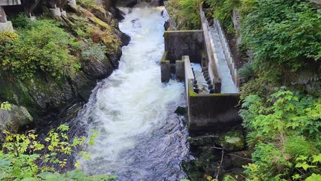 Lachsleiter-In-Ketchikan-Alaska-Neben-Der-Park-Street-Am-Ketchikan-Creek