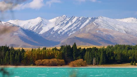 turquoise lake water, autumn trees, and snow-covered mountains under bright daylight. occasional foreground blur suggests gentle camera movement or wind-blown pine needles