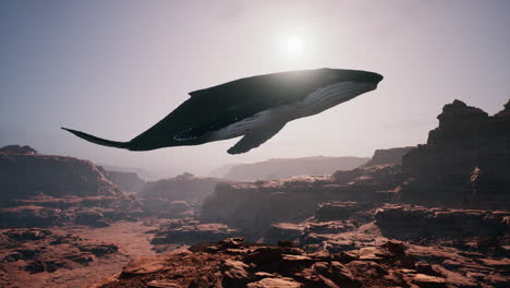 a whale flying over a desert canyon