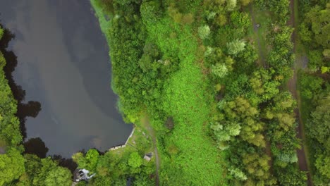 Luftdrohnenansicht-Von-Oben-Nach-Unten-Auf-Den-See-Mit-Bäumen-Und-Kleinem-Wasserfall