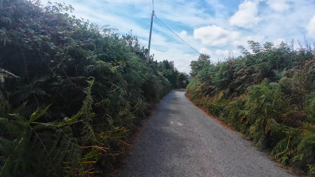 Fast Moving Point of View Biking on Single Track Rural Road with Fern Hedges and Fields with Bright Blue Dynamic Cloud Sky. Exercise Cycling in British Countryside